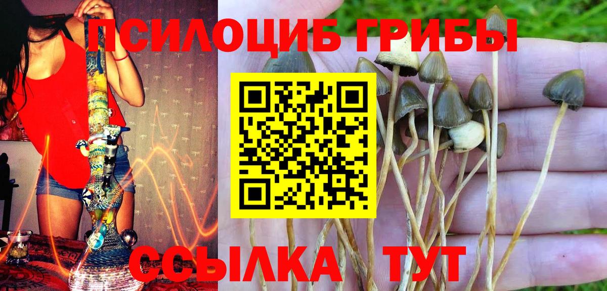 Галлюциногенные грибы Cubensis  Вход с VPN  Валуйки 